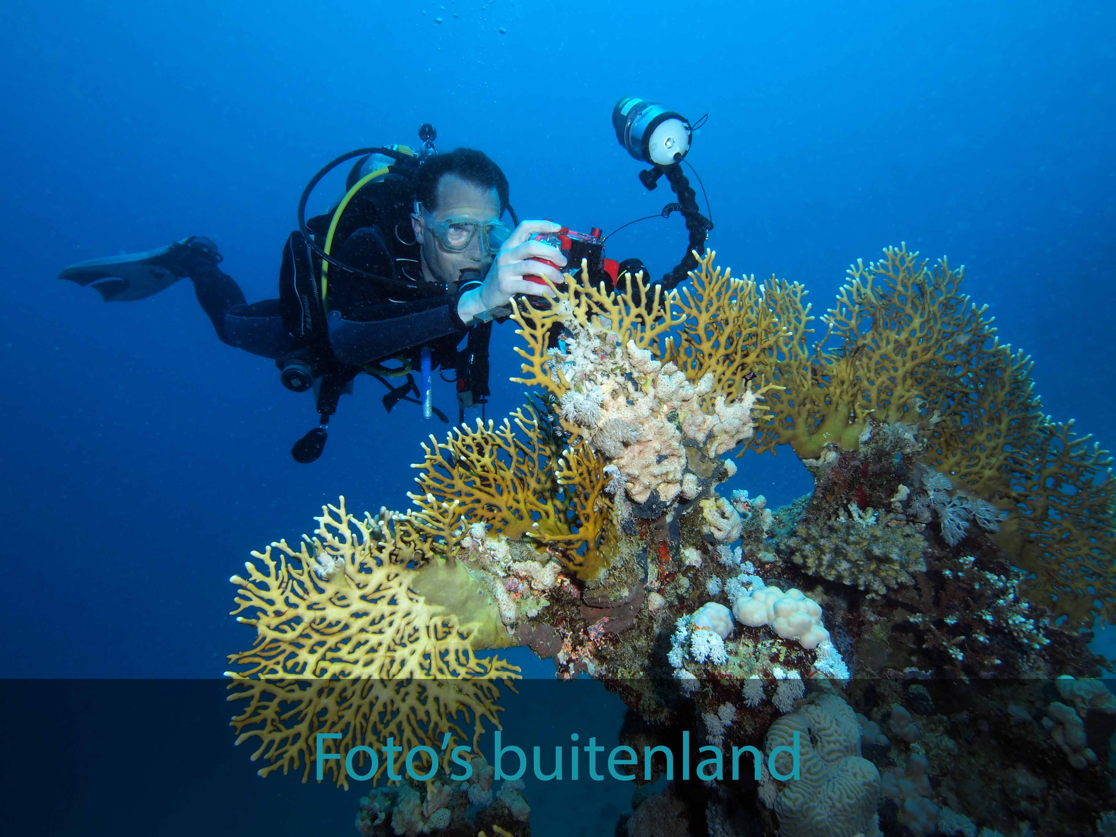 Foto's buitenland